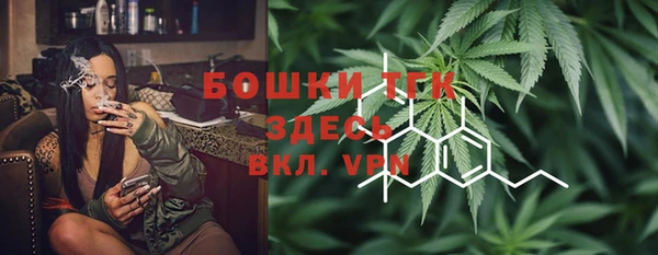 бошки Верхний Тагил