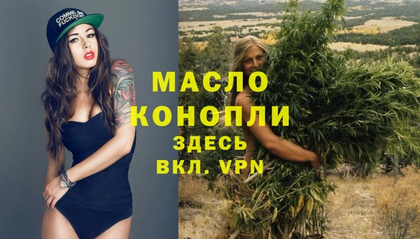молекула духа Верея