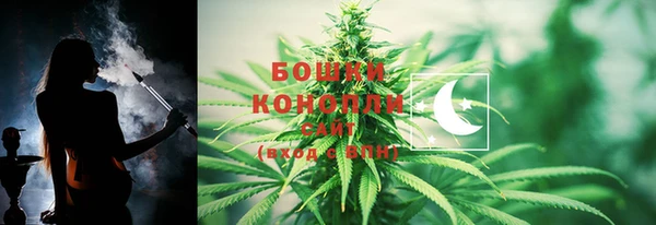 молекула духа Верея