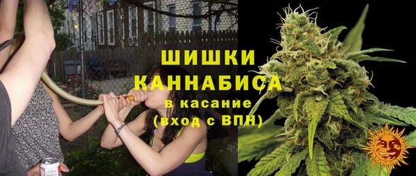 бошки Верхний Тагил