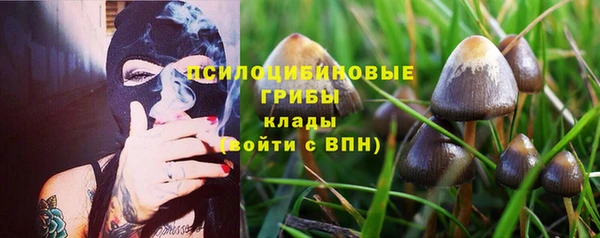 молекула духа Верея