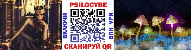 Галлюциногенные грибы Cubensis  Купить закладки  Курганинск 
